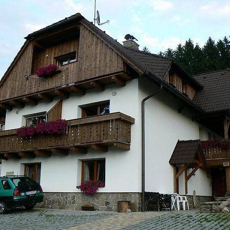 Apartmany U Vacu Železná Ruda Extérieur photo