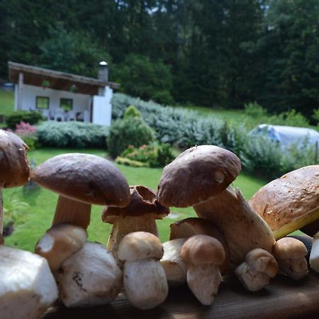 Apartmany U Vacu Železná Ruda Extérieur photo